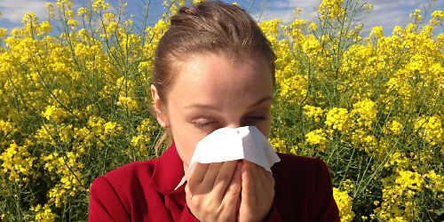 allergie heuschnupfen schnupfen niesen © pixabay.jpg