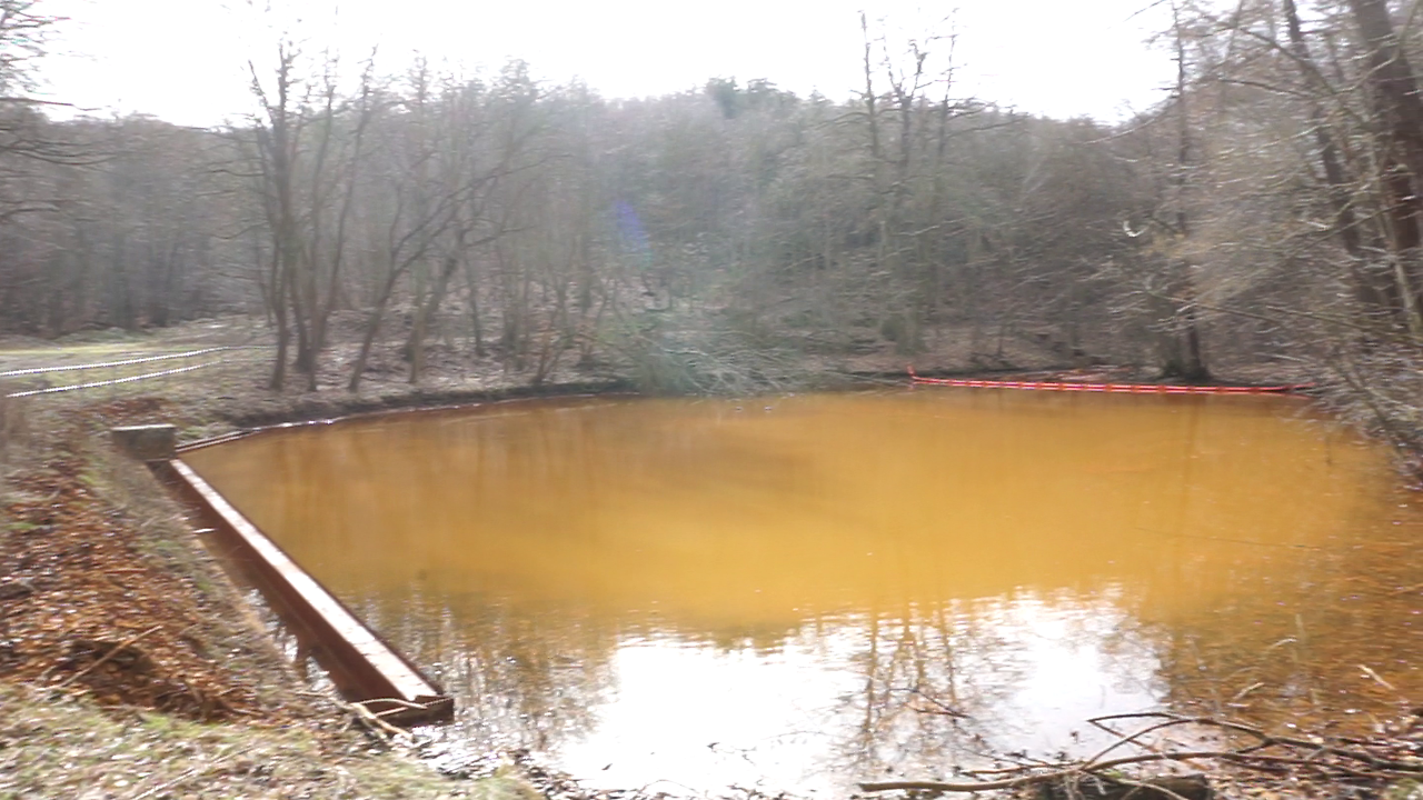 Rötlich gefärbter Teich beim Hagentalstollen Gernrode