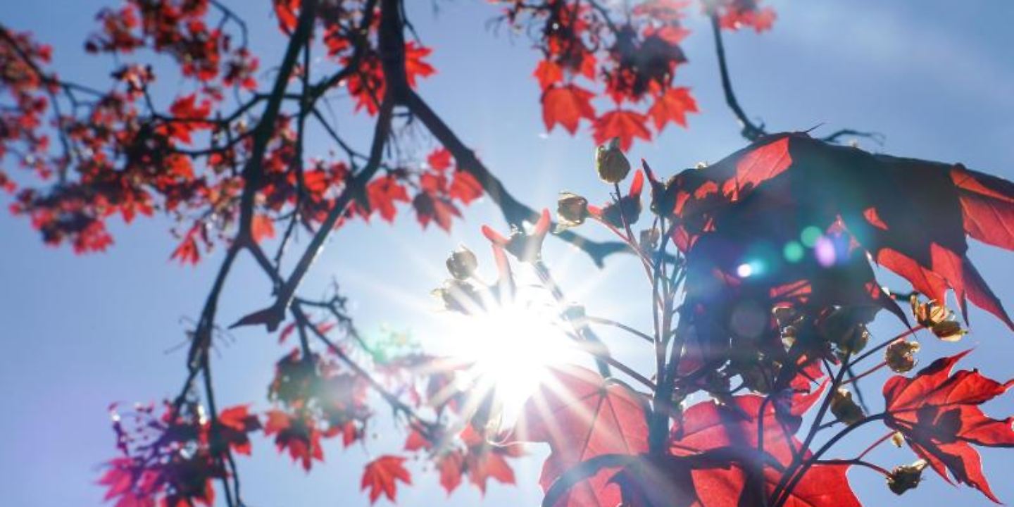 Sonniger Start ins Wochenende Gewitter und Regen folgen