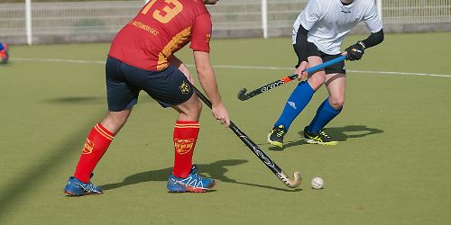 field-hockey-2927587_1920.jpg