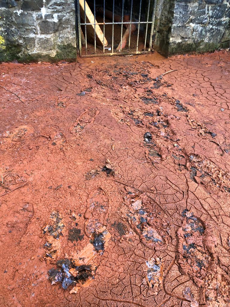 Rotbrauner Schlamm sprudelte kürzlich aus dem Bergwerkschacht Alexisbad