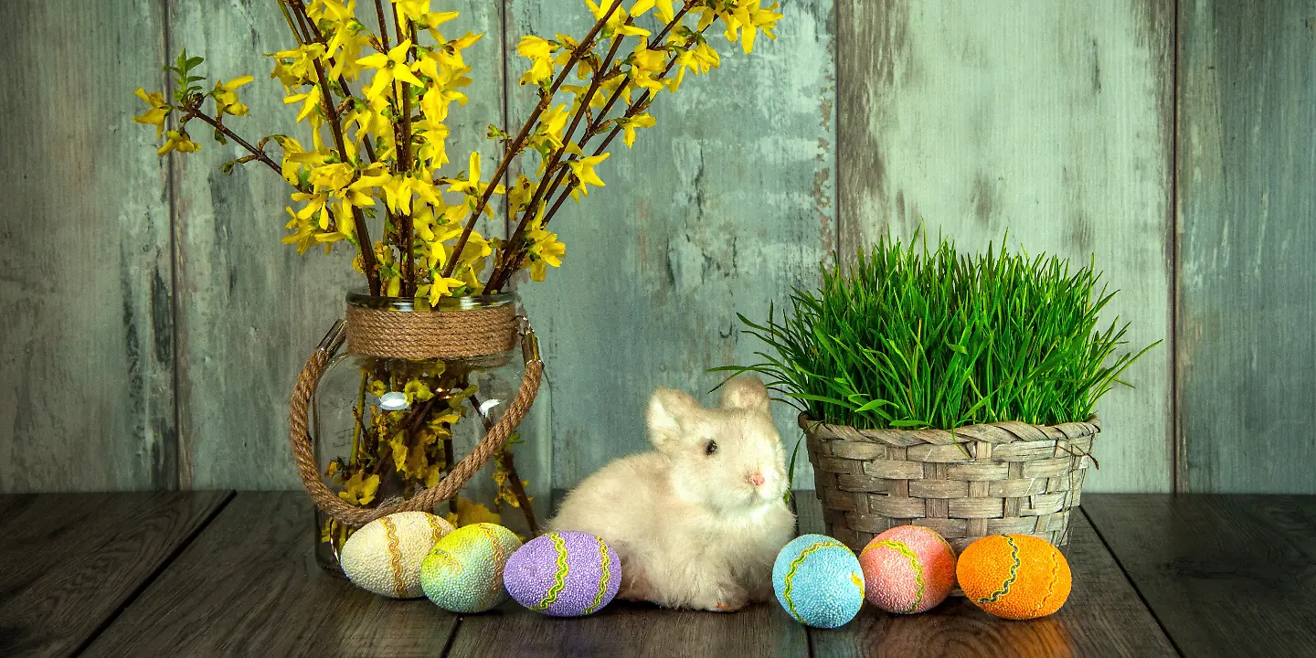 ostern hase osterhase dekoration eier © pixabay.jpg