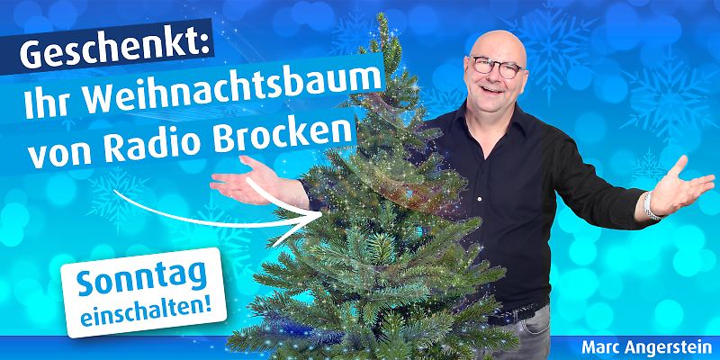 weihnachtsbaum_header2021.jpg