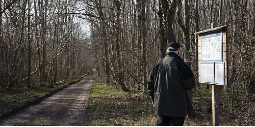 Infotafel Waldweg