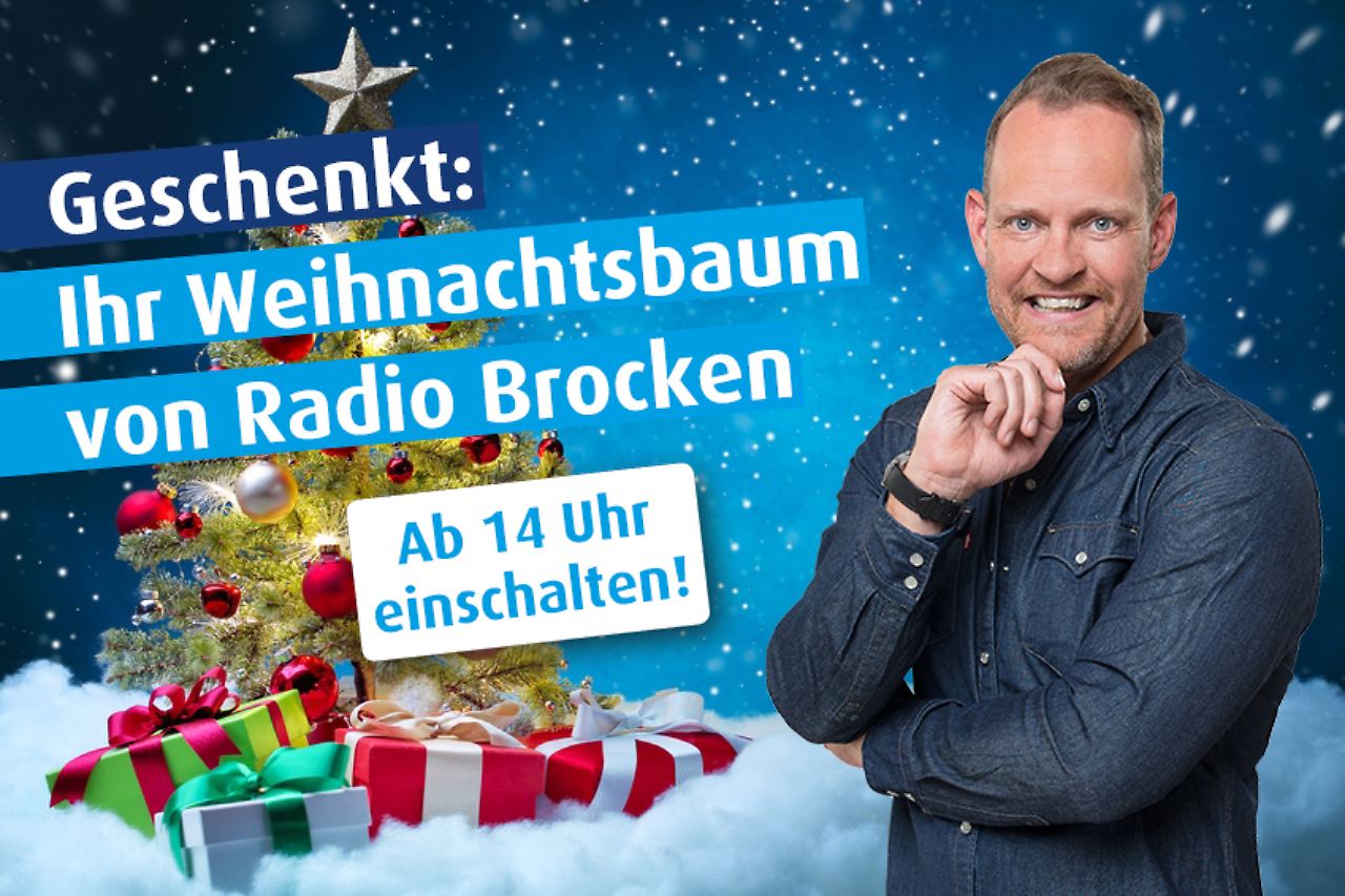 Von Fichten und Tannen Der perfekte Weihnachtsbaum