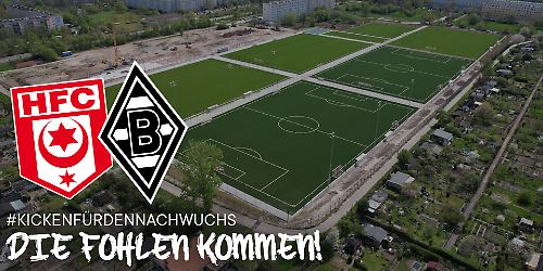 Hallescher FC gegen Mönchengladbach
