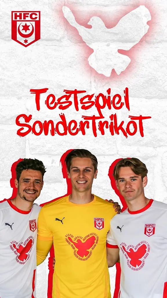 Sondertrikot 3 frieden HFC.jpg