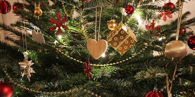 Echt oder echt Plastik: Welcher Weihnachtsbaum ist besser?